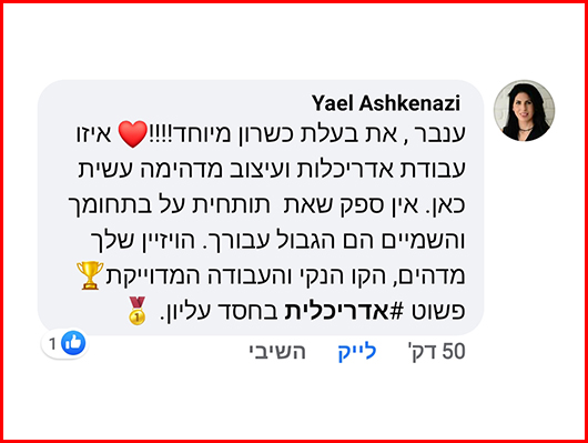 המלצה