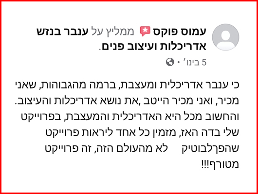המלצה